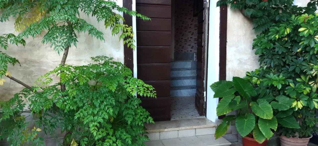 Ferienwohnung A Casa Di Carla Terracina Exterior foto