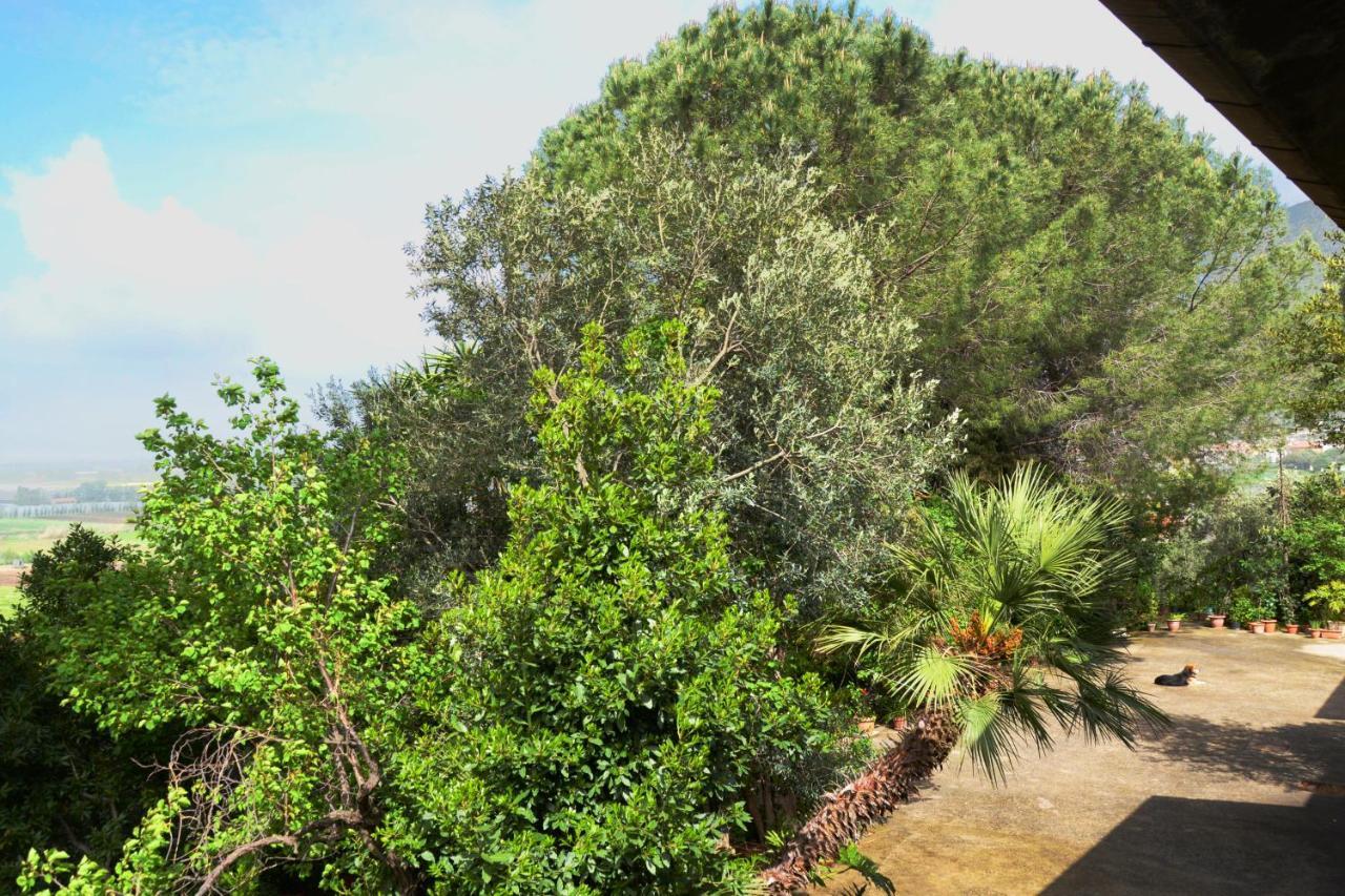 Ferienwohnung A Casa Di Carla Terracina Exterior foto
